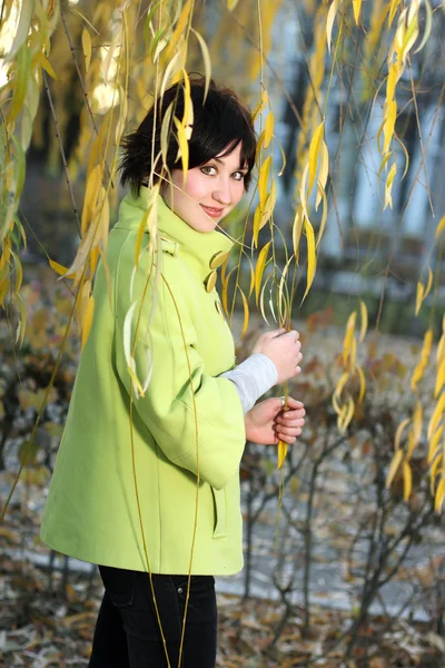 Красивая девушка в зеленом пальто в ветвях ивовой аутум — стоковое фото