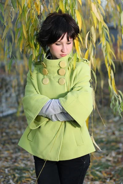 Mooi meisje in de groene jas in de takken van een wilg autum — Stockfoto