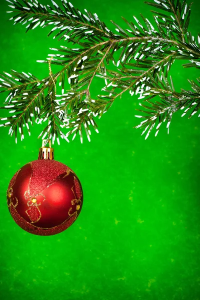 モミの木に赤いクリスマス ボール — ストック写真