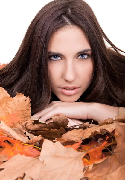 Bellezza nella natura - autunno — Foto Stock
