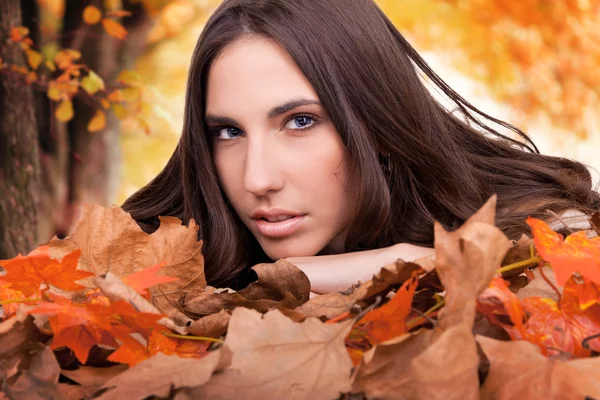 Gele bomen en meisje in droge bladeren — Stockfoto