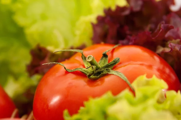 Frische Rote Tomaten Und Grüner Salat Nahaufnahme — Stockfoto