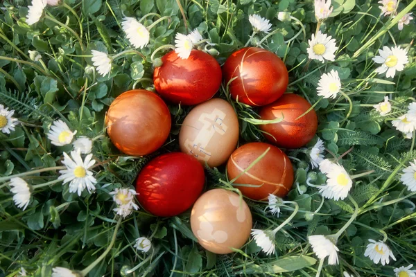 复活节彩蛋藏在草丛中 — 图库照片