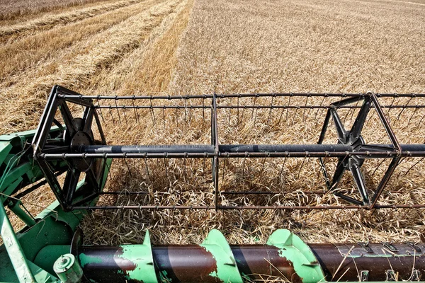 이익을 위해 밀 수확 — 스톡 사진