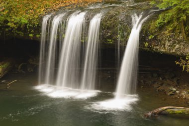 üst butte creek oregon düşüyor