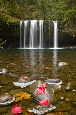 Upper Butte Creek Falls Oregon 3 clipart