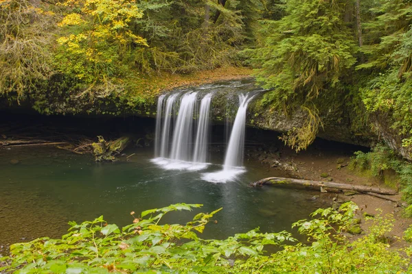 Upper Butte Creek Falls Oregon 2 — Stock Photo, Image