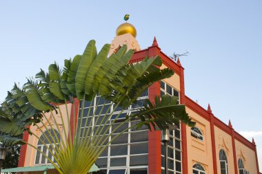 palmiye ağacı ile bina Müslüman Camii