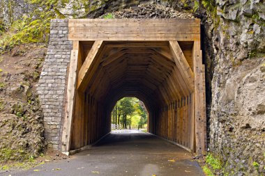 Tunnel on Oneonta Gorge Hiking Trail 2 clipart
