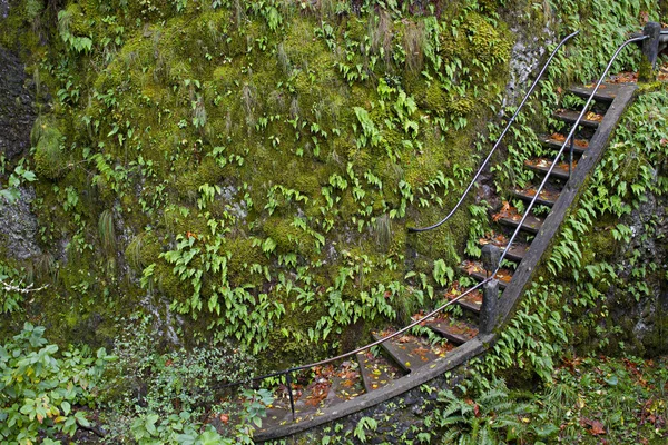 Lépcsők a turistaút oneonta gorge — Stock Fotó