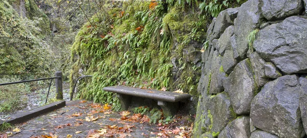 Stenen bankje op oneonta kloof trail panorama — Stockfoto