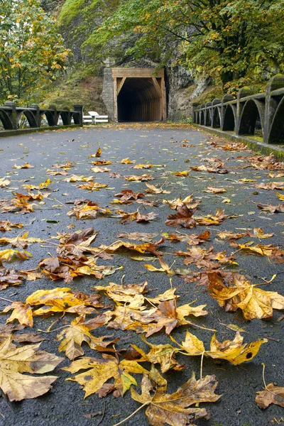 Tunnel sul sentiero escursionistico Oneonta Gorge — Foto Stock