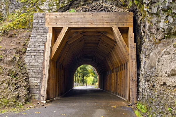 Тунель на місті Oneonta ущелині туристичний шлях 2 — стокове фото