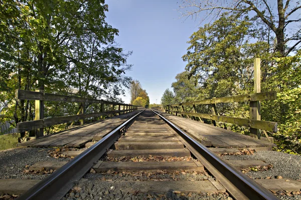Railroad Bridge Over Thomas Creek — Stock Photo, Image