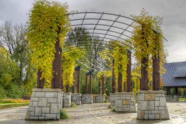 Climbing Plants in the Fall at the Park clipart