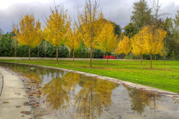 Spiegelbild der Herbstsaison im Park — Stockfoto