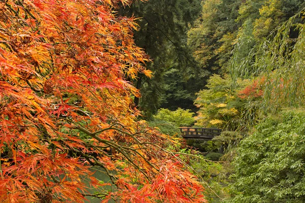 Herbstzeit im japanischen Garten — Stockfoto