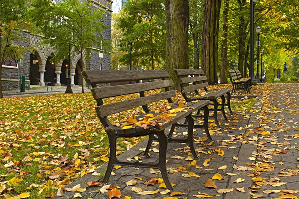 Höstlöv på bänkar längs park 3 — Stockfoto