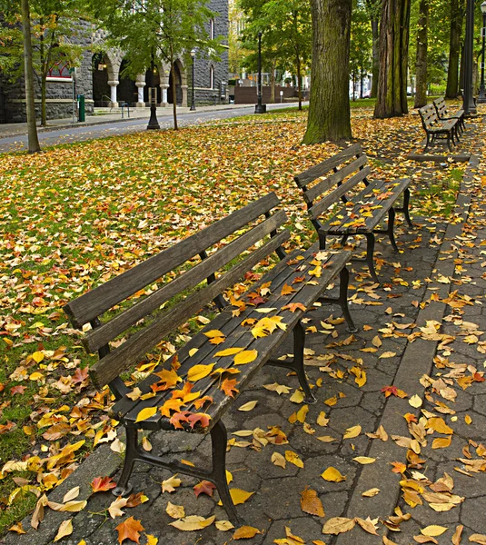 Liście jesieni na ławki wzdłuż parku 2 — Zdjęcie stockowe