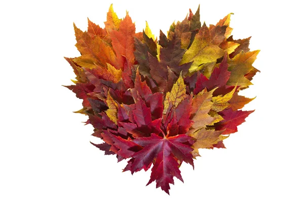 Maple Leaves Mixed Fall Colors Heart Wreath — Stock Photo, Image
