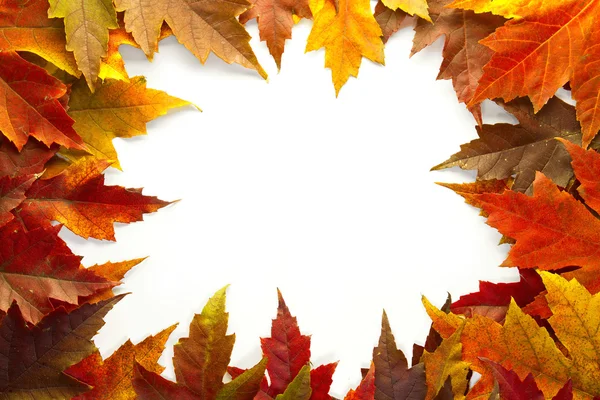 Maple Leaves Mixed Fall Colors Border 2 — Stock Photo, Image