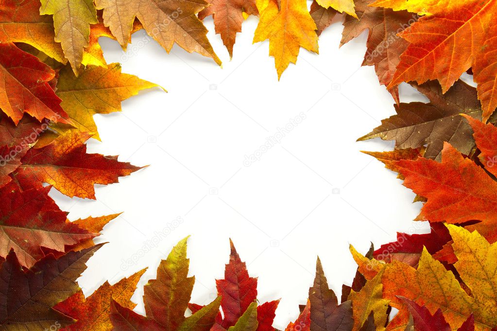Maple Leaves Mixed Fall Colors Border 2