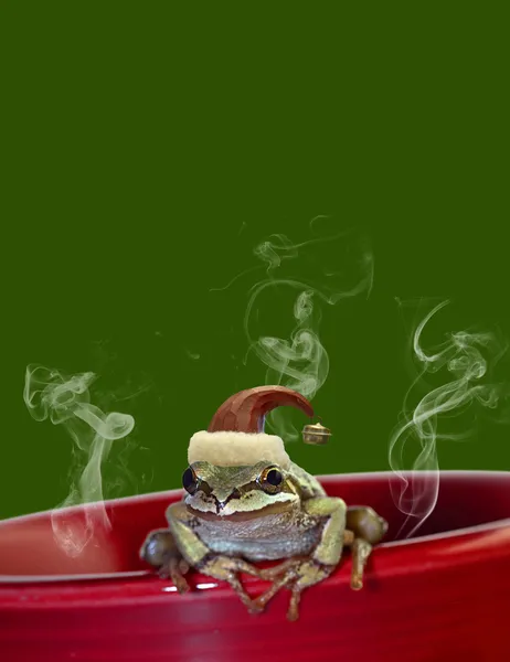 Vánoční stromeček žába sedící na červený hrnek 2 — Stock fotografie