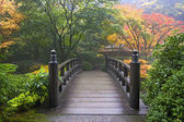 dřevěný most na japonská zahrada na podzim