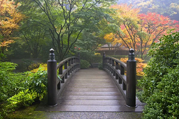 Pont en bois au jardin japonais en automne — Photo