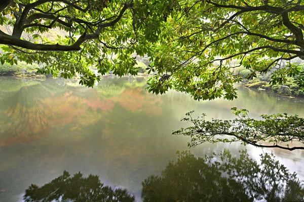 Reflexión por el estanque en el jardín japonés —  Fotos de Stock