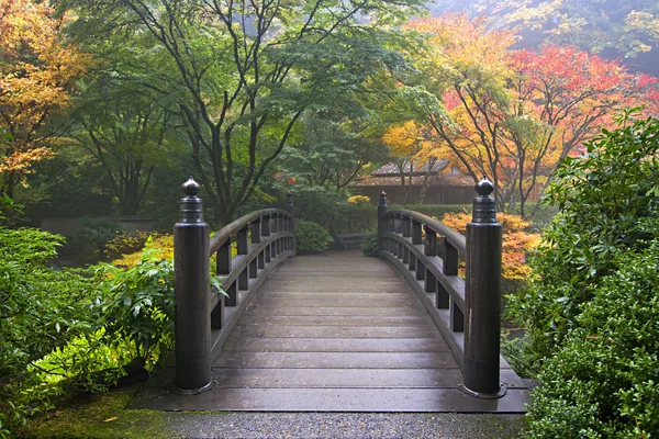 Ponte di legno al giardino giapponese in autunno Immagine Stock