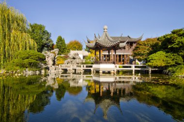 Reflection by the Pond in Chinese Garden clipart