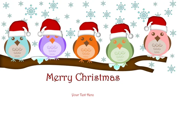 Cinco pássaros com chapéu de Santa em ramos de árvore — Fotografia de Stock