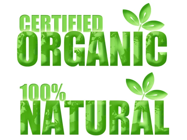 Simboli Biologici Certificati Naturali 100 Con Foglia Illustrazione Del Mondo — Foto Stock
