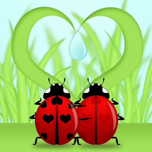 ハートの形の下で赤いてんとう虫カップル草の図 — ストック写真