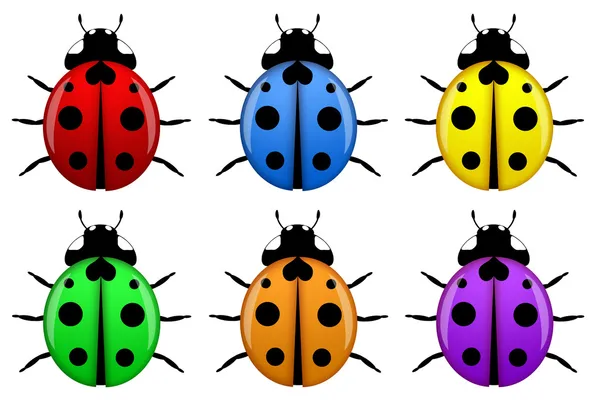 図は白い背景で隔離の異なる色のてんとう虫 — ストック写真