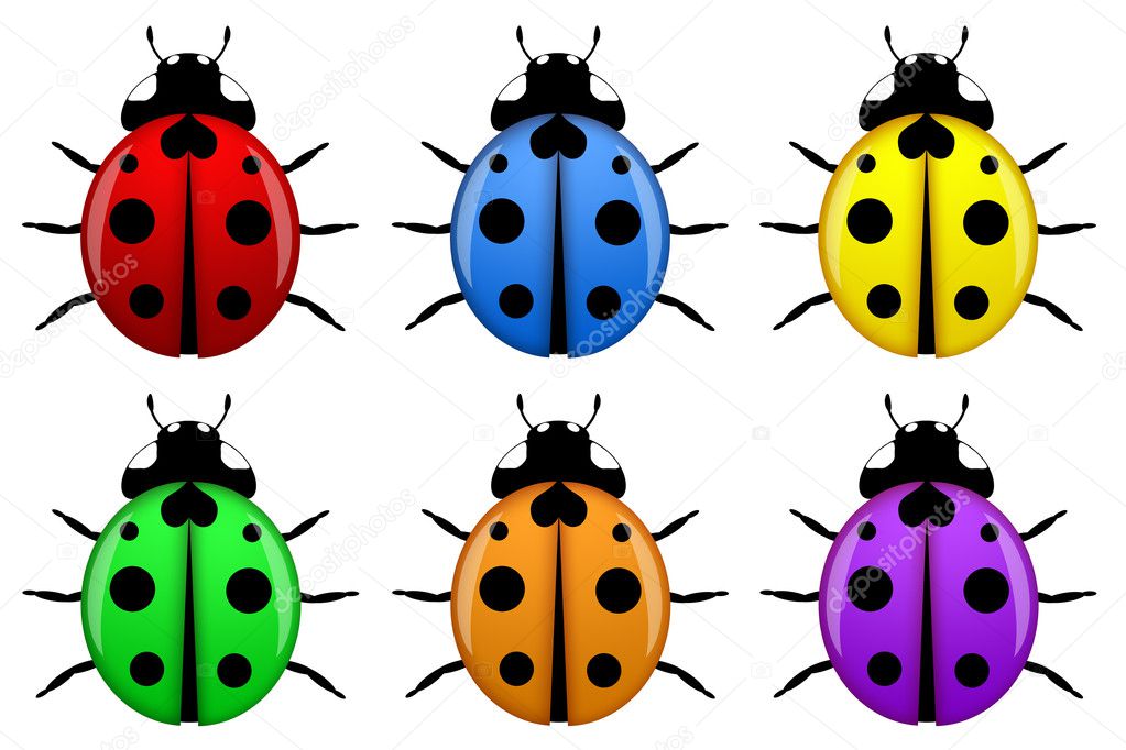 Ladybugs in Different Colors Isolated on White Background Illustration