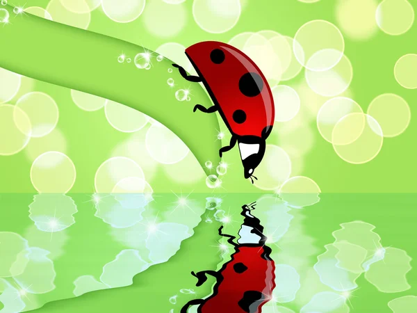 Ladybug Leaf Looking Sparkling Water Reflection Illustration — Stock Photo, Image
