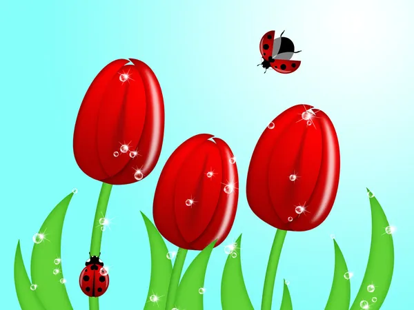 Красный Ладибуг Вырезающий Ствол Цветка Тюльпана — стоковое фото