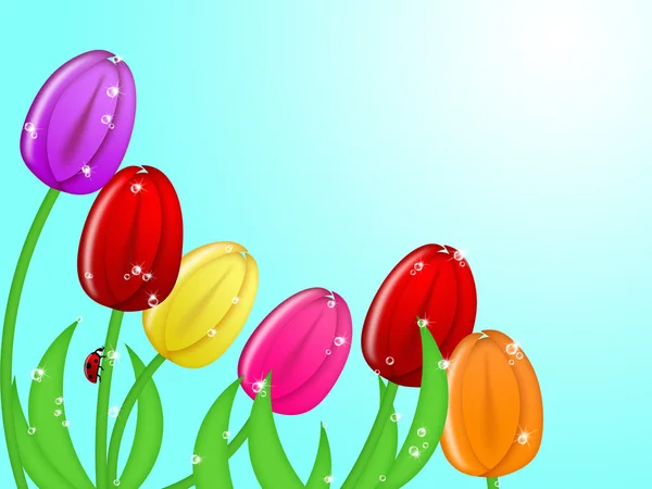 Joaninha escalando tulipa flor haste cores sortidas — Fotografia de Stock