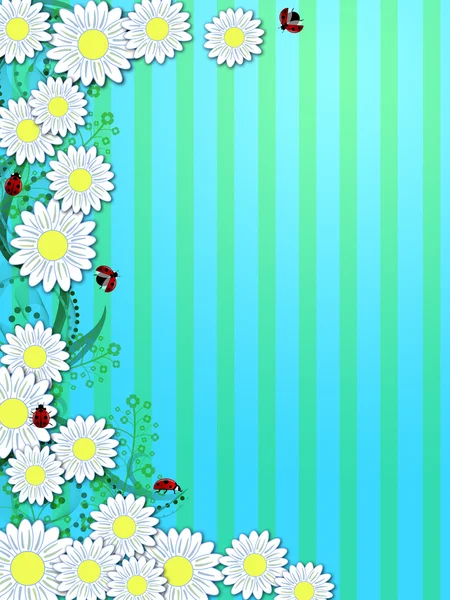 Frühling Gänseblümchen Marienkäfer vertikalen Hintergrund — Stockfoto