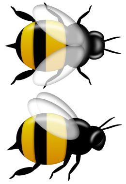 Bumble Bee Top and Side View Isolated on White clipart