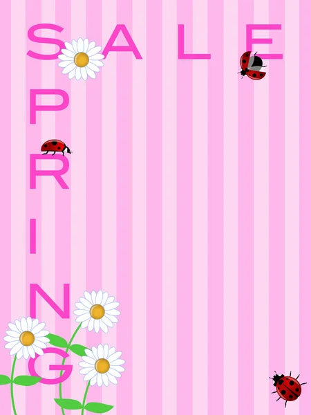 Cartel de venta de primavera con margaritas Flores y mariquitas —  Fotos de Stock