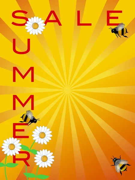 Summer Sale Sign with Daisies Flowers and Bumble Bees — Stock Photo, Image