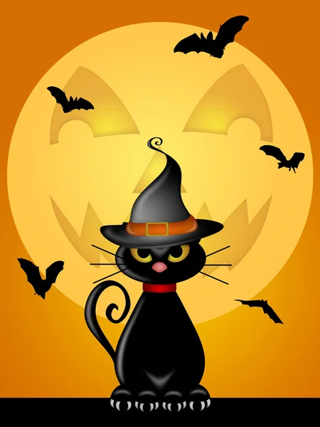 Halloween kot z kapelusz wiedźmy przez jack o lantern księżyc — Zdjęcie stockowe