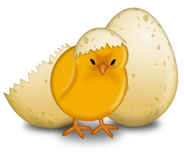 Пасхальна пташеня з яйцями — стокове фото
