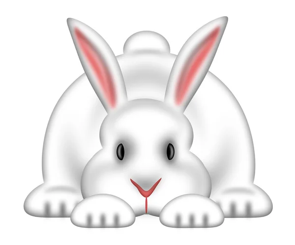 Conejo de Pascua blanco aislado fondo blanco — Foto de Stock