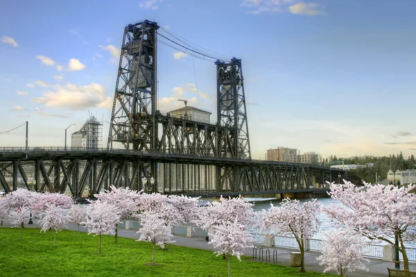 Ponte de aço e árvores de flor de cerejeira em Portland Oregon — Fotografia de Stock