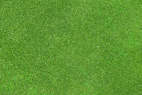 Зеленая текстура травы
