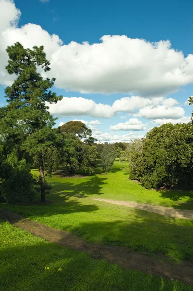 Beautiful golf course — Stock Photo, Image